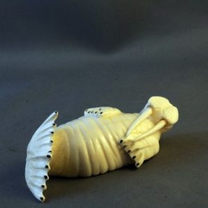 Alaskan Ivory Walrus Native American Carving